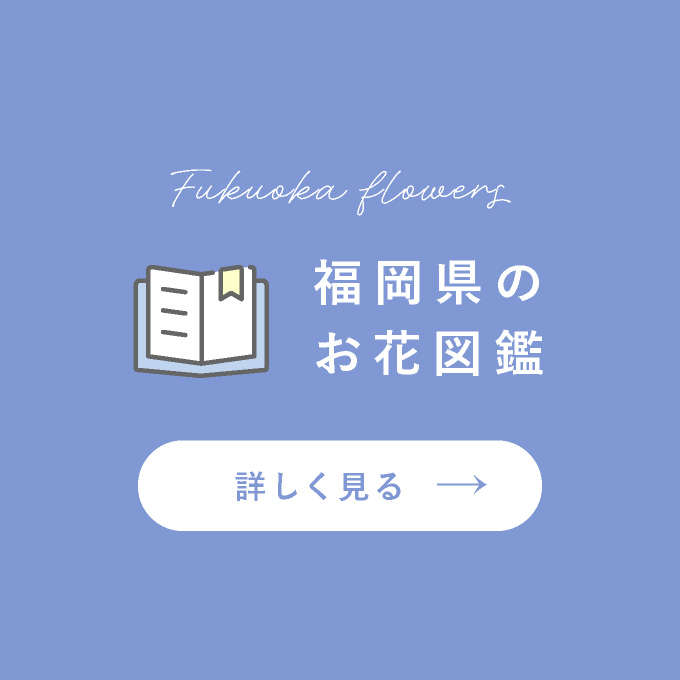 福岡県のお花図鑑