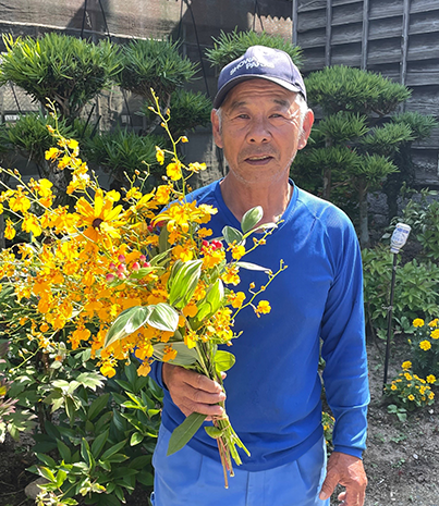 糸島の花農家でオンシジウムのオリジナル品種を見てきました！オンシジウム農家松尾さん