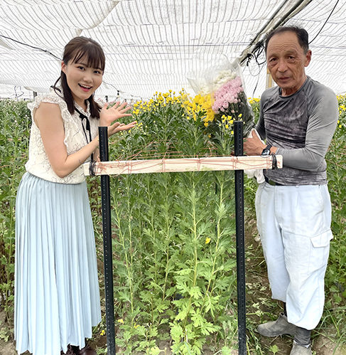３世代に渡り菊を栽培 菊農家中野一義さん　
