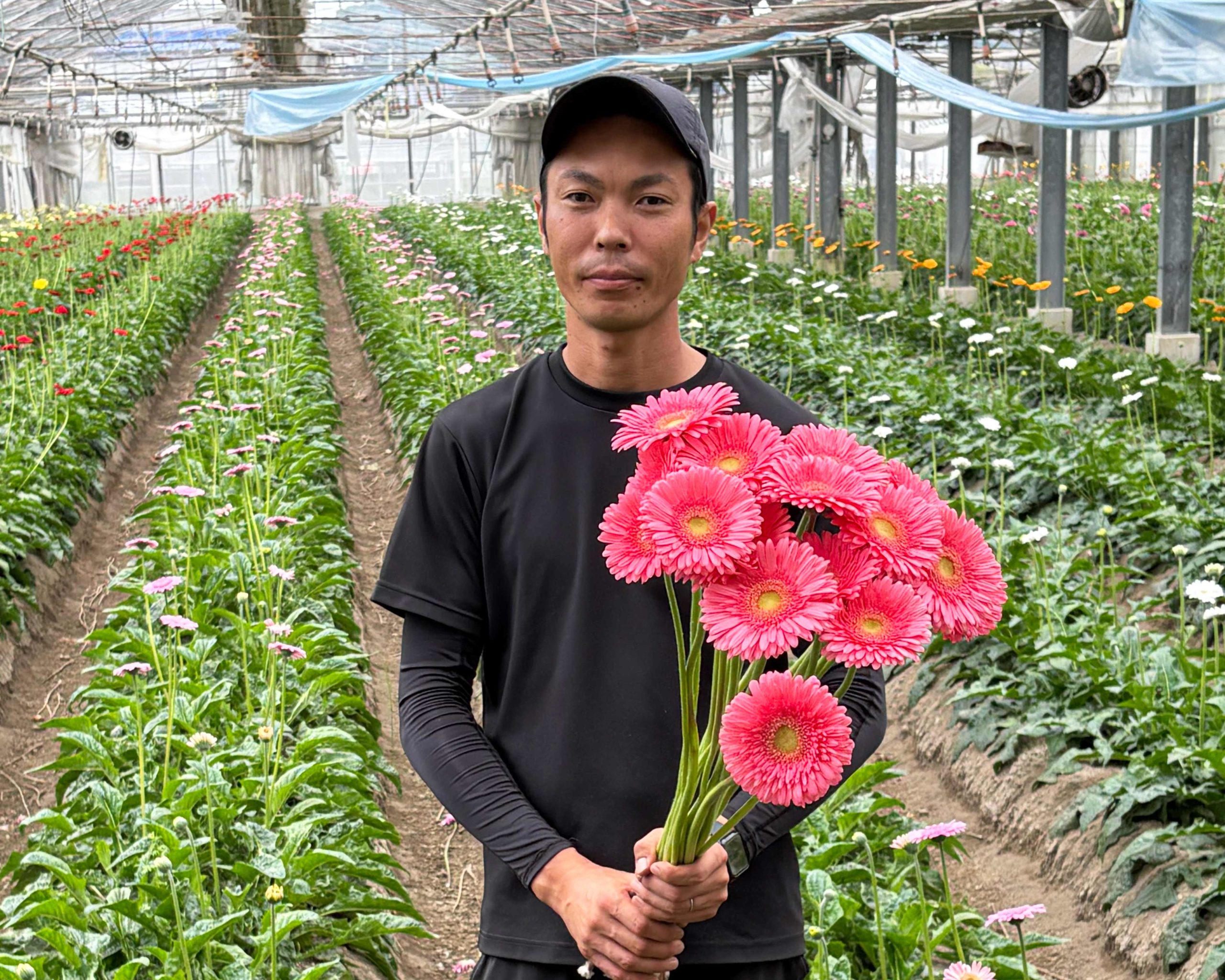 広川町のガーベラ生産者、野村さんを取材しました！
