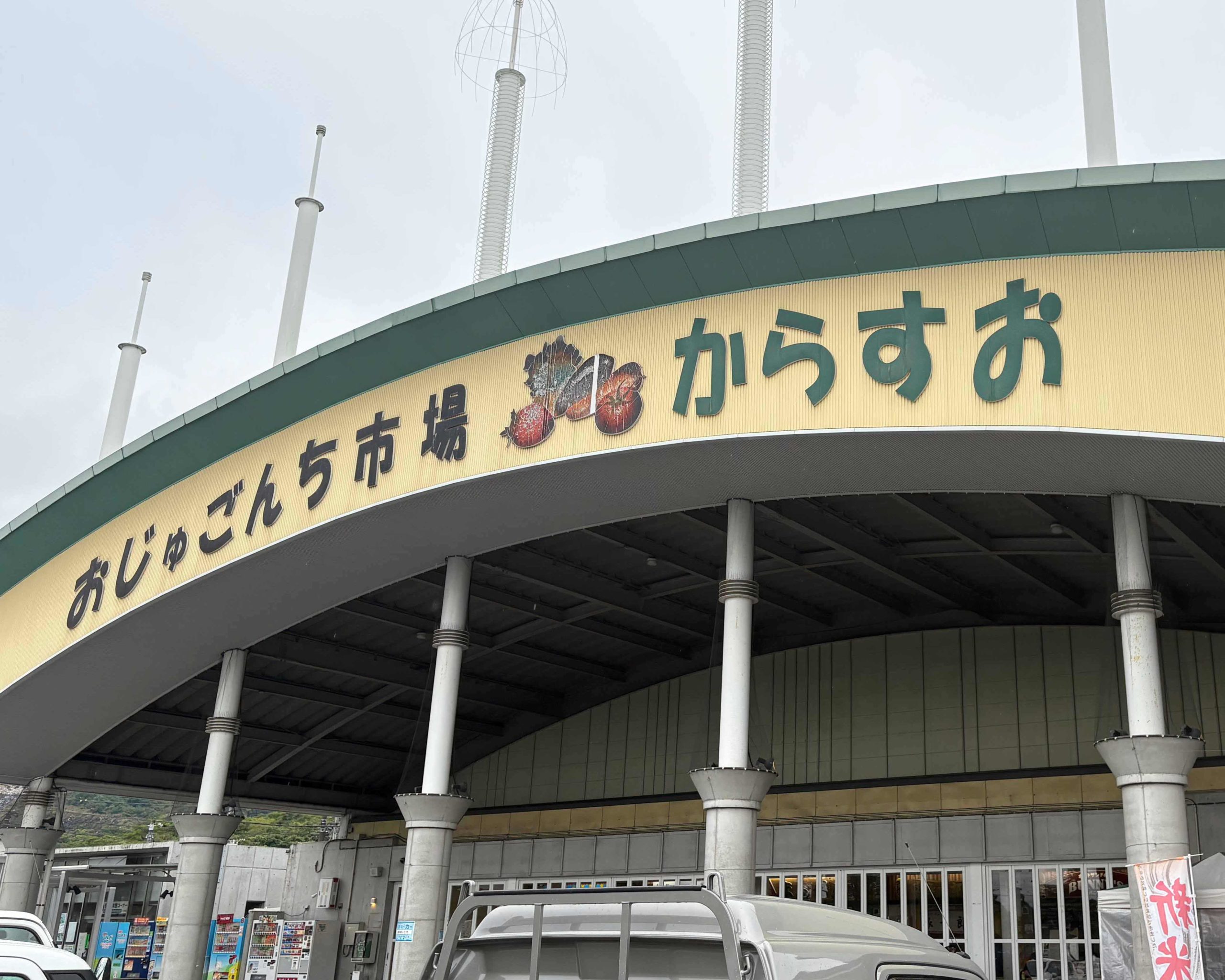 切り花、鉢物、観葉植物など幅広い品揃え〜糸田町  道の駅いとだ〜